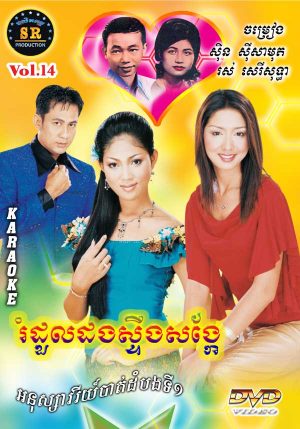 DVD Karaoke SR Vol 14 | ផលិតកម្មស្រីរត្ន័