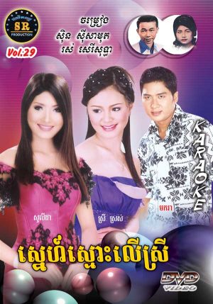 DVD Karaoke SR Vol 29 | ផលិតកម្មស្រីរត្ន័