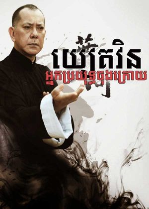 Ip Man: The Final Fight (2013)