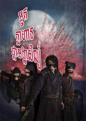 The Vigilantes In Masks (2011)