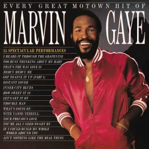 Marvin Gaye Every Great Motown Hit [LP]