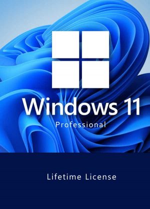 Microsoft Windows 11 Pro | Digital Key