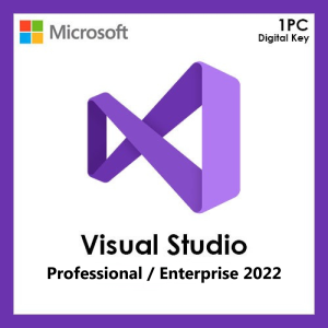 Visual Studio 2022 Professional/Enterprise
